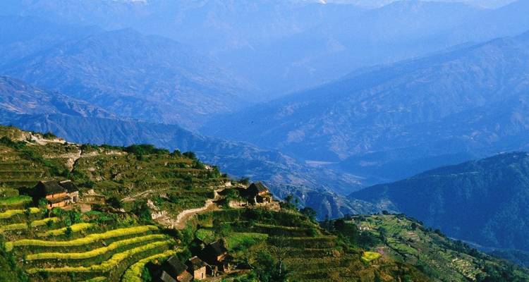 Terrasvormige berghellingen met stenen huizen en gele gewasstroken die afdalen in een diepe Himalaya-vallei