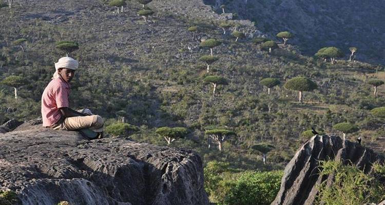 Viajero sentado en una cornisa rocosa con vista a un valle salpicado de árboles Sangre de Dragón.