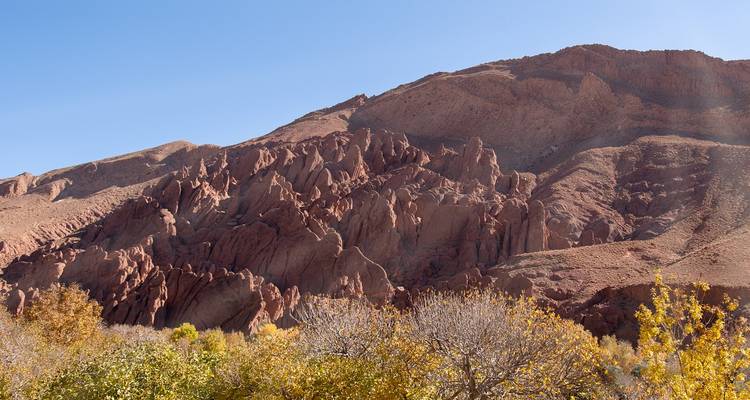 Rugged reddish rock formations rise above autumn trees under clear blue Moroccan sky.