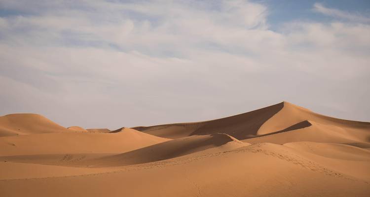 Series of soft sand ridges stretching beneath a partly cloudy sky in the desert.