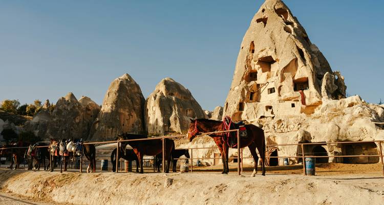 Chevaux sellés alignés devant de hautes formations rocheuses érodées sous un ciel cappadocien dégagé.