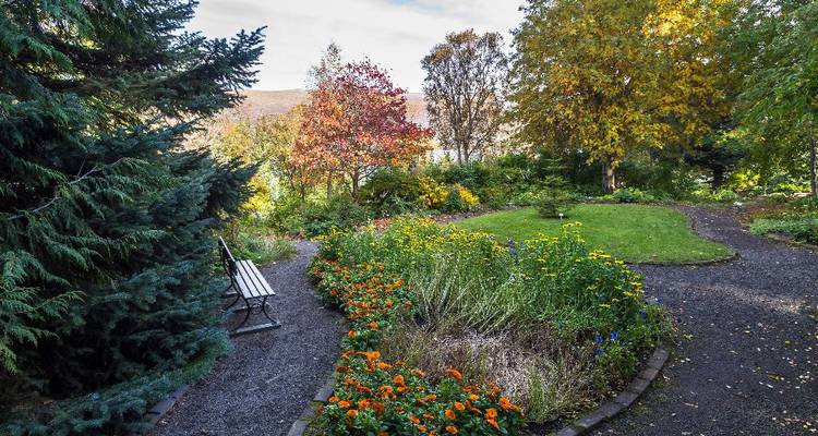 Quiet botanical path with a wooden bench, bordered by bright flowers and autumn foliage.
