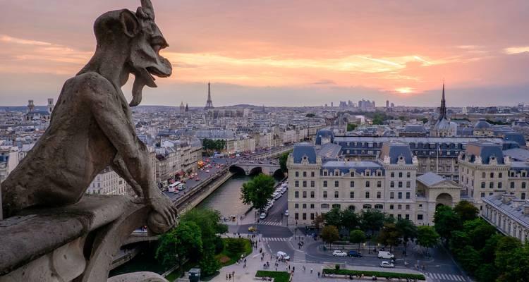 Stone gargoyle overlooking Paris rooftops and Seine at colourful sunset