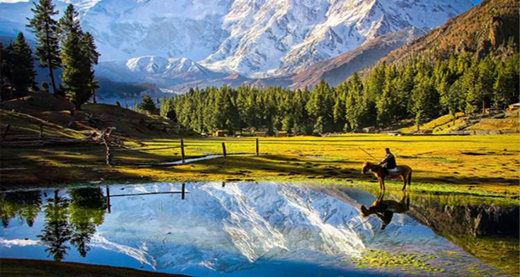 Cheval et cavalier reflétés dans un étang immobile avec le Nanga Parbat dramatique couvert de neige qui s'élève derrière les forêts de pins.