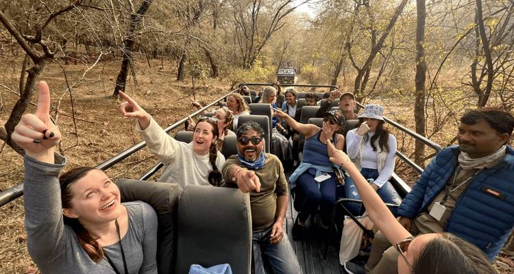Excited tourists in an open-top safari vehicle point toward wildlife in a dry forest.