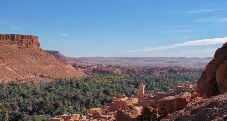 Erhöhtes Panorama eines palmenreichen Tals und der umliegenden Wüstenhügel.