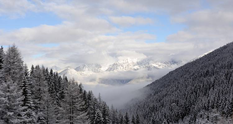 Bosque de coníferas espolvoreado de nieve que desciende hacia un valle alpino lleno de neblina con picos escarpados medio ocultos por las nubes.