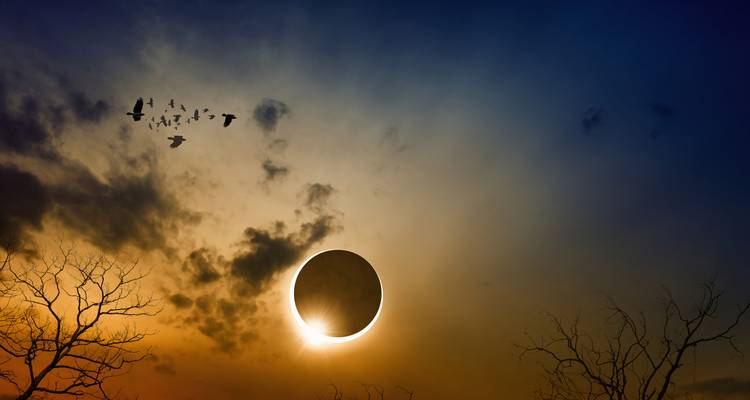 Dramatische Sonnenfinsternis mit leuchtender Korona vor einem farbenprächtigen Dämmerhimmel und silhouettierten Bäumen.