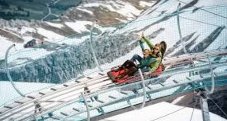 Two riders enjoy an alpine coaster gliding above snowy slopes and pine forests.