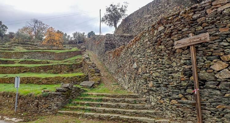 Steintreppe und terrassierte Mauern, bedeckt mit Moos und Gras in einem ländlichen portugiesischen Dorf.