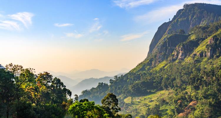 Geschichtete neblige Bergrücken und üppige teebedeckte Täler unter einem sanften Morgenhimmel in Sri Lankas Hochland.