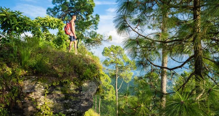 Rucksacktourist mit rotem Rucksack steht am Rand einer Klippe und blickt auf üppige kiefernbedeckte Hügel.