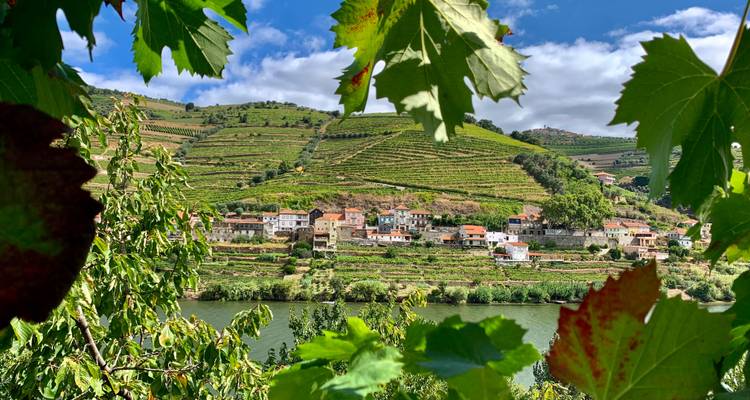 Terrassierte Weinberge und ein malerisches Flussdorf im Douro-Tal werden von grünen Blättern gerahmt