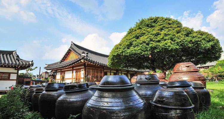 Rows of large black onggi fermentation jars beside a traditional Korean hanok house and tree.