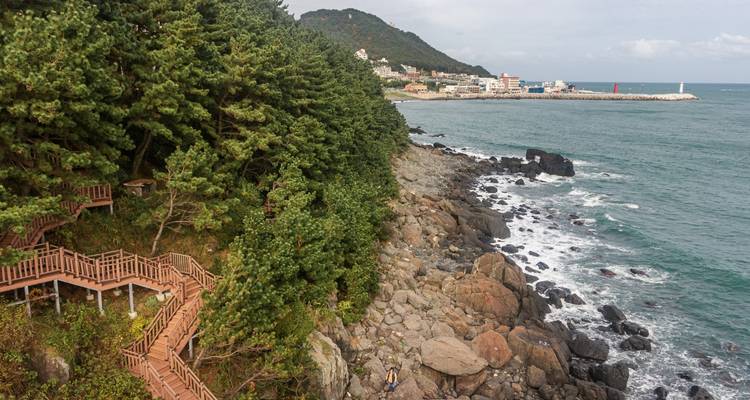 Eine zerklüftete Felsküste mit Kiefernwald und Holzstegen am Meer.