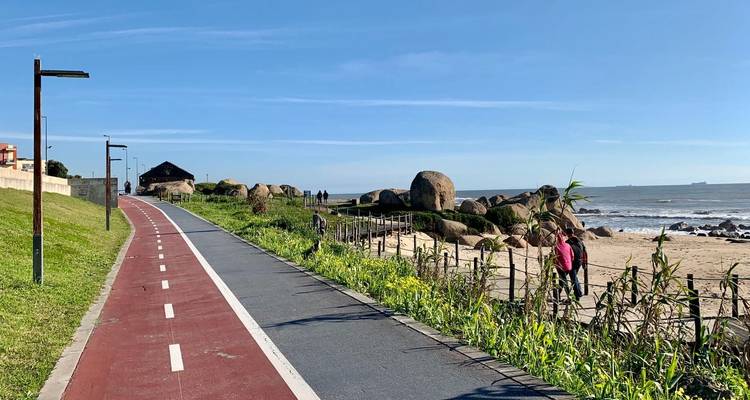 Coastal cycle path with red lane beside green slope and rocky beach, people walking and biking.