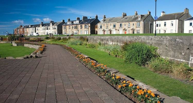Brick path bordered by bright orange flowers leads past rows of traditional terraced houses.