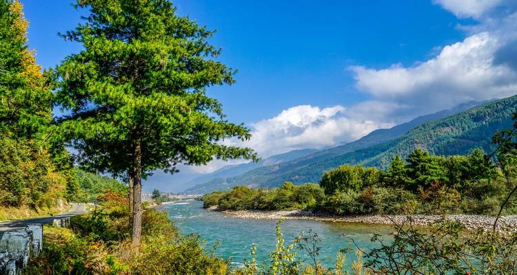 Rivière claire serpentant à travers une vallée verdoyante avec des montagnes boisées sous un ciel bleu éclatant.