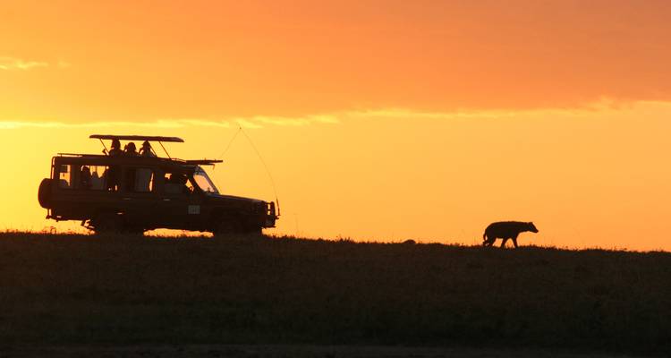 Silhouette of safari jeep and hyena against vivid orange sunset sky on savanna