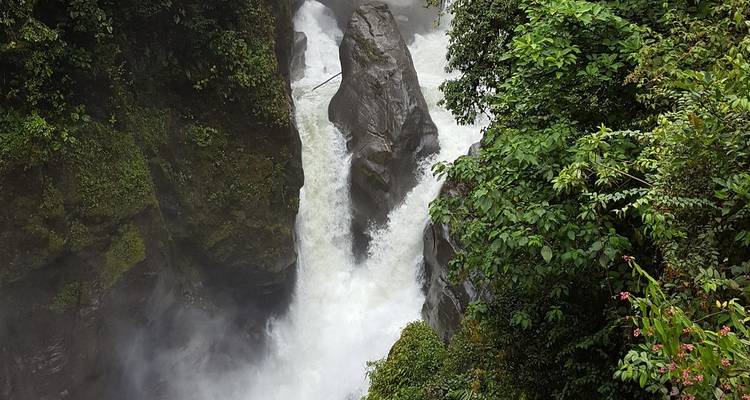Una poderosa cascada se estrella a través de un desfiladero rocoso rodeado de denso follaje selvático verde.