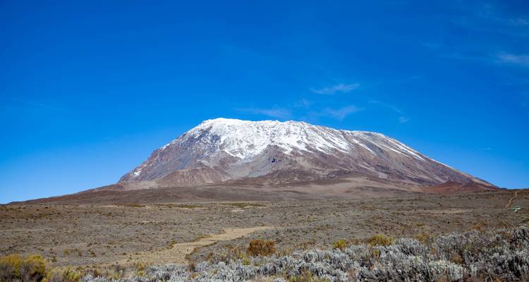 Vista lejana del Monte Kilimanjaro cubierto de nieve elevándose sobre la meseta alta y árida bajo un cielo azul vibrante