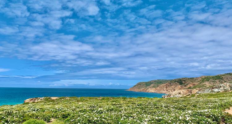 Küstenheide bedeckt mit Wildblumen, die zu felsigen Klippen und tiefblauem Meer unter fleckigen Wolken führt.