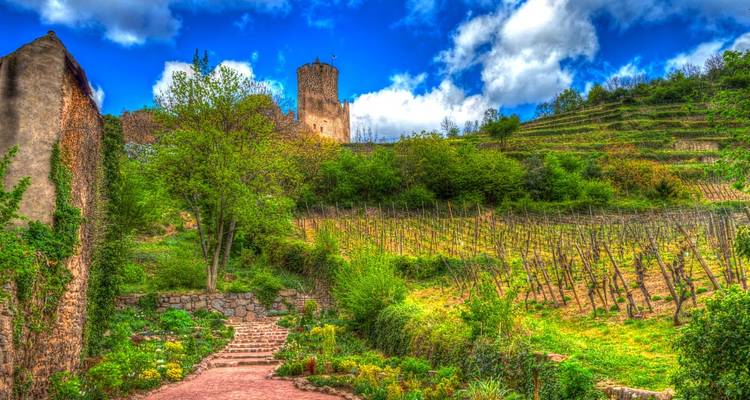 Alsace Walk - UTracks