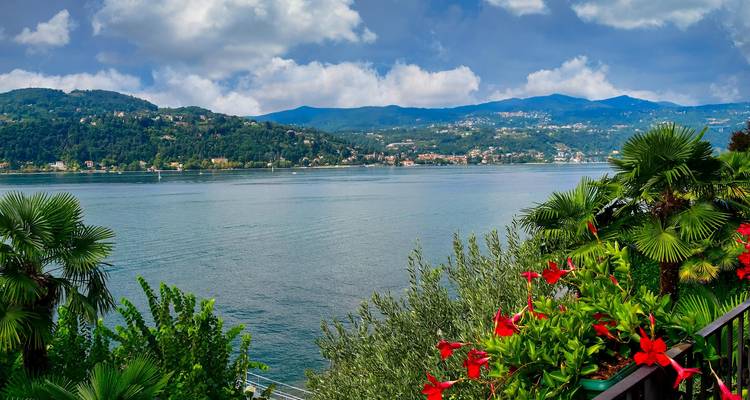 Escena tranquila del lago enmarcada por vibrantes flores rojas, palmeras y colinas boscosas ondulantes en el Lago Maggiore