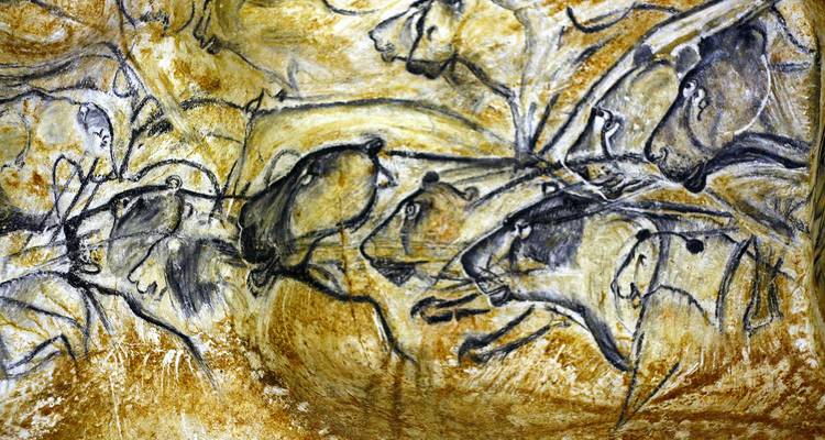 Prehistoric cave wall art depicting lions and other animals in charcoal strokes on ochre background.