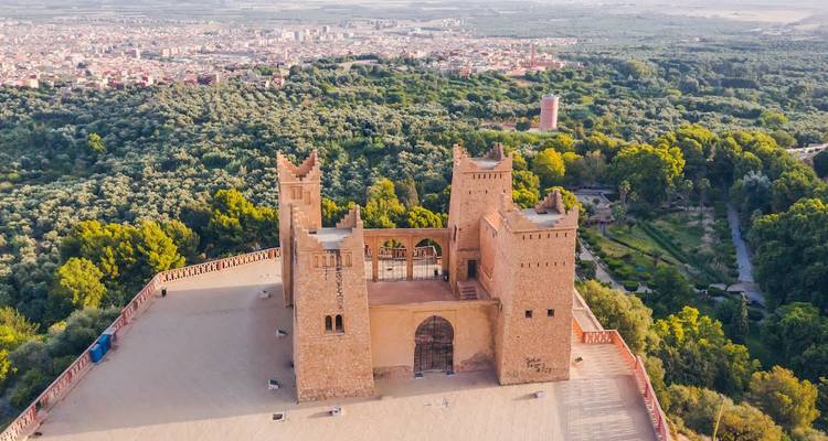 An aerial view of a hilltop fortress overlooking a sprawling town and dense olive groves.