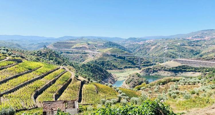 Weitblick auf terrassenförmig angelegte Weinberge, die sich zu einem Fluss hinabziehen, mit einer Autobahnbrücke und sanft gewellten Hügeln