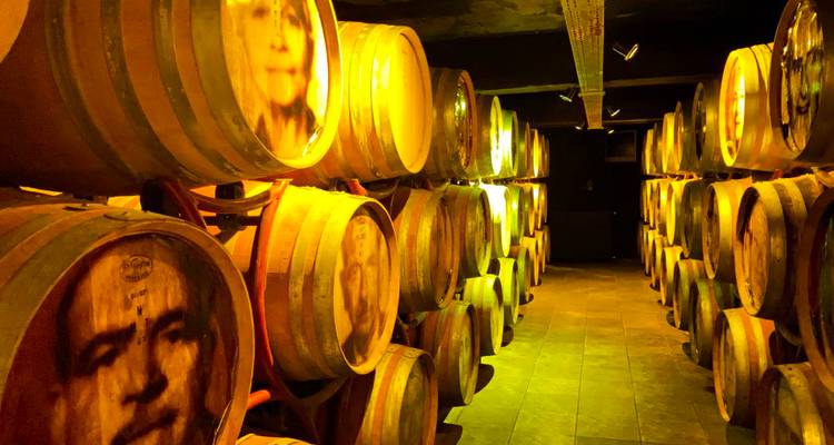 Filas de barriles de roble para vino brillando bajo luces cálidas en una bodega subterránea.