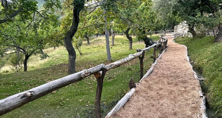 Sendero rústico del bosque bordeado por barandillas de madera serpentea a través de un huerto verde.