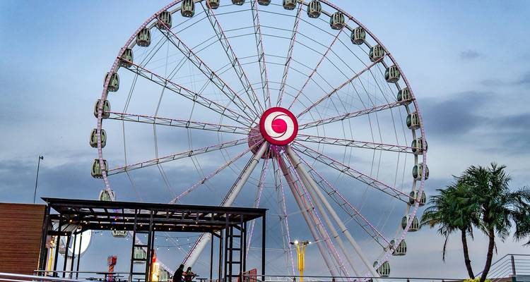 Illuminated Ferris wheel towering against an evening sky near palm trees and a wooden platform.