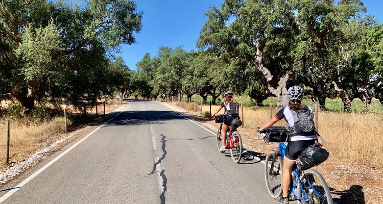 Dos cicloturistas pedalean por un camino rural sombreado bordeado de alcornoques en un día soleado.