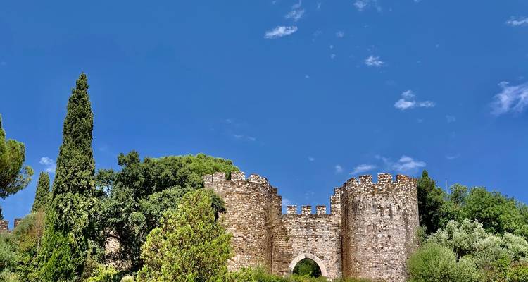 Steinernes Burgtor und alte Mauern, umgeben von leuchtend grünen Bäumen unter einem tiefblauen Himmel.