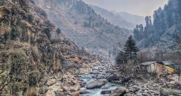Moody mountain gorge with rocky stream, pine-covered slopes and a lone shack perched beside the water.