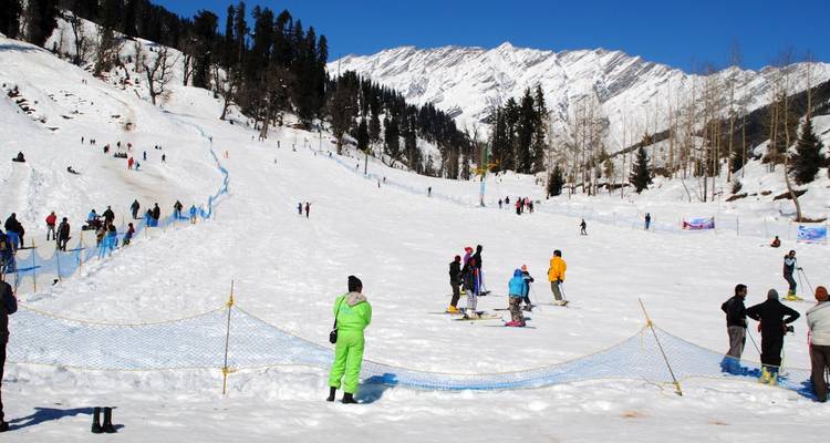 Snowy ski slope dotted with skiers and bordered by pine forest beneath a brilliant blue sky.