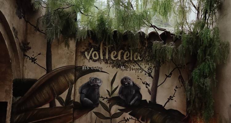 Fresque murale artistique de cour intérieure représentant deux singes peints sous des plantes grimpantes suspendues