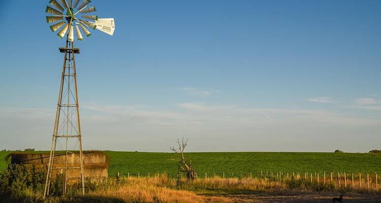 Ein traditioneller Metallwindpumpenturm steht über offenem Ackerland, das in warmes Spättageslicht getaucht ist.