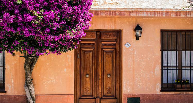 Reiche magentafarbene Bougainvillea rahmt eine verzierte hölzerne Doppeltür an einer pastellfarbenen Kolonialfassade ein.