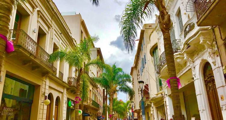Von Palmen gesäumte Straße, flankiert von kunstvollen Kolonialgebäuden unter teilweise bewölktem Himmel.