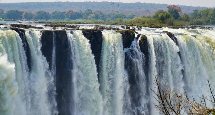 Powerful curtain of water plunging over Victoria Falls framed by verdant riverbank