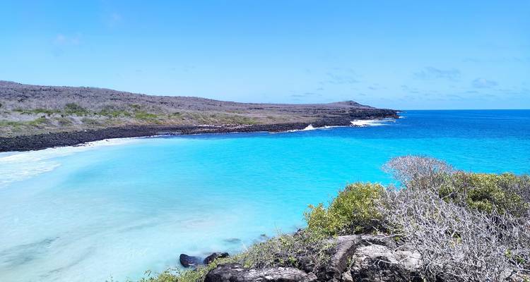 Bahía turquesa bordeada por roca volcánica negra y matorral seco bajo un cielo despejado en las Galápagos