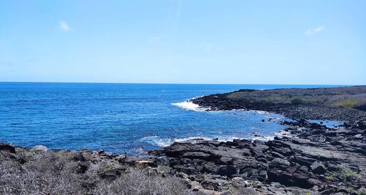 Costa rocosa volcánica que se encuentra con el mar azul profundo bajo un cielo despejado.