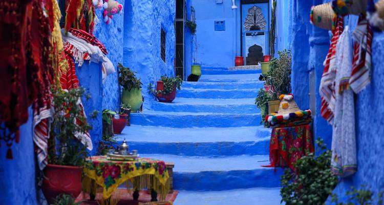 Ruelle animée à Chefchaouen bordée de murs bleus, de textiles colorés et de plantes en pot