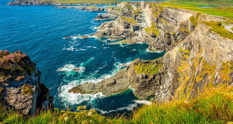 Ausgedehnte Atlantikklippen, gesäumt von grünen Feldern entlang der Küstenlinie des Ring of Kerry