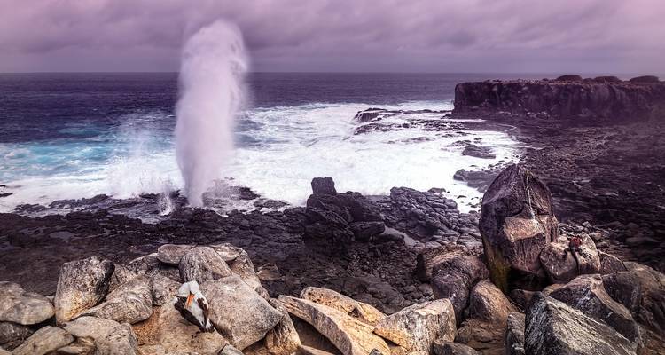 Un espectacular soplador dispara una alta columna de agua al aire junto a la escarpada costa volcánica.