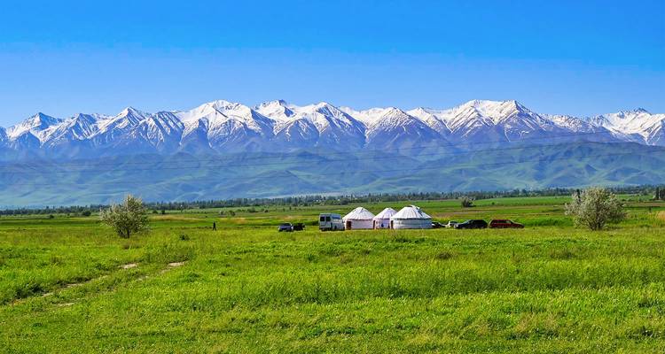 Vaste steppe verte parsemée de yourtes et de véhicules face à une chaîne de montagnes enneigées spectaculaire sous un ciel dégagé.
