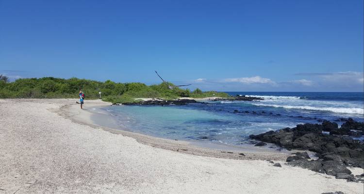 Ruhiger tropischer Strand mit klarer blauer Lagune und sanften Wellen
